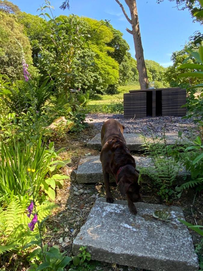 Red River Stables - Peaceful, Beautiful Grounds, Swimming Pool, Central Location For West Cornwall Camborne Buitenkant foto