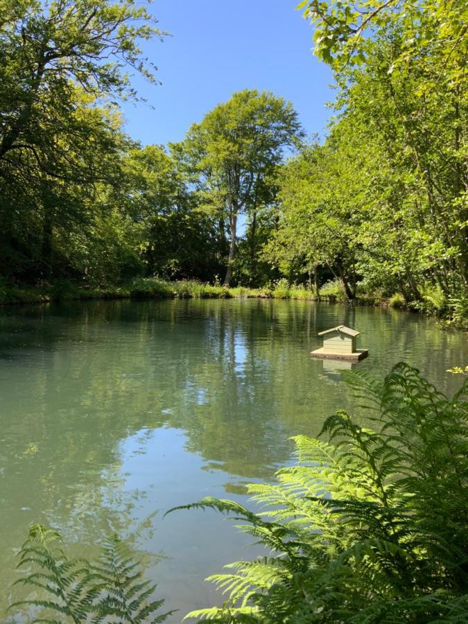 Red River Stables - Peaceful, Beautiful Grounds, Swimming Pool, Central Location For West Cornwall Camborne Buitenkant foto