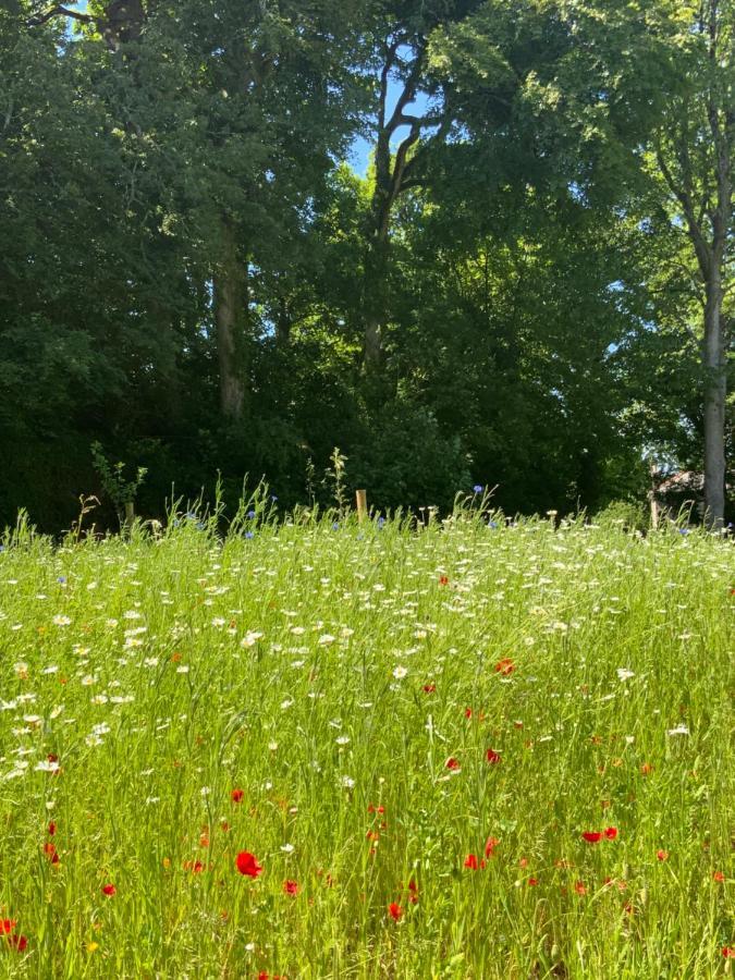 Red River Stables - Peaceful, Beautiful Grounds, Swimming Pool, Central Location For West Cornwall Camborne Buitenkant foto