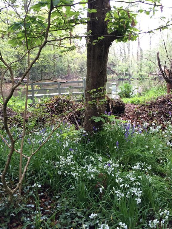 Red River Stables - Peaceful, Beautiful Grounds, Swimming Pool, Central Location For West Cornwall Camborne Buitenkant foto