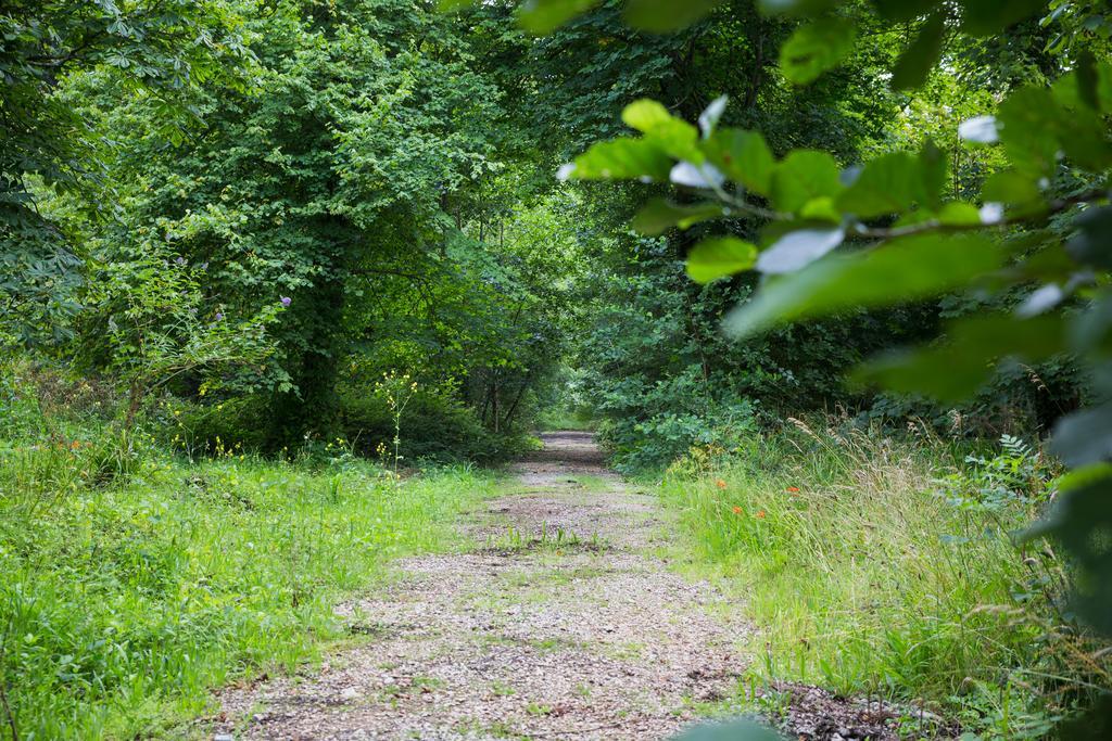Red River Stables - Peaceful, Beautiful Grounds, Swimming Pool, Central Location For West Cornwall Camborne Buitenkant foto